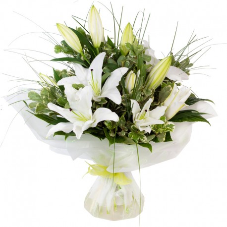 Lilies and foliage